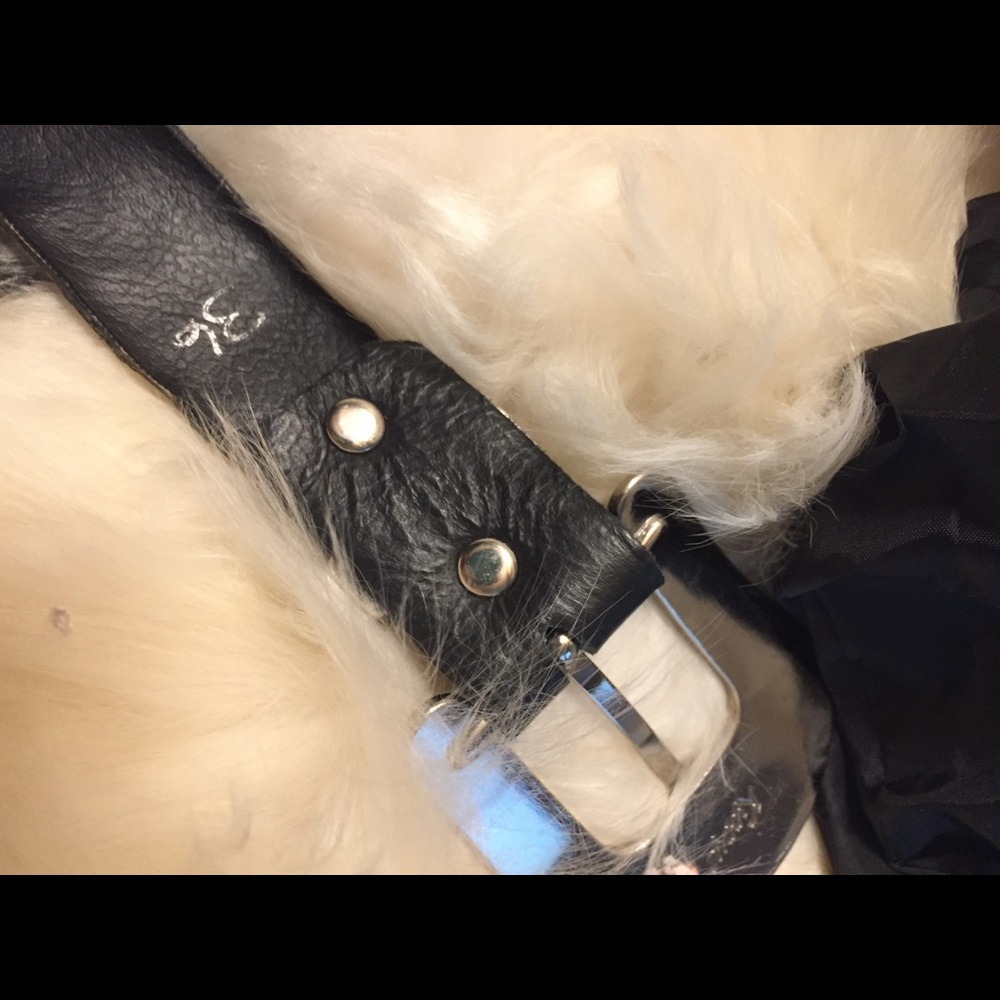 Authentic Kippy Belt - Picture 5 of 5